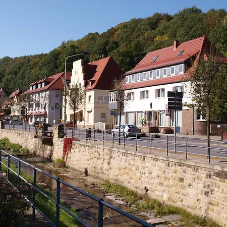 Hotel Saechsisches Haus 3*