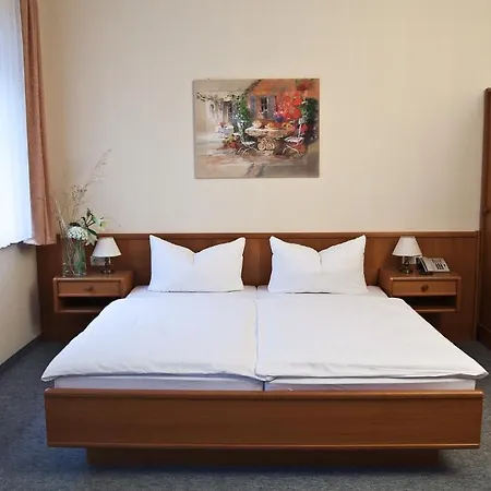 Hotel Saechsisches Haus - Hotel & Restaurant 3*