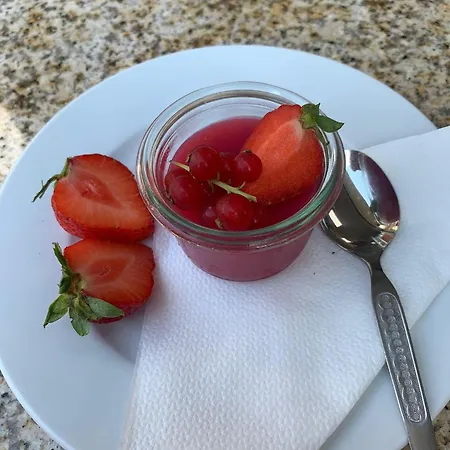 Saechsisches Haus 3* Berggiesshübel