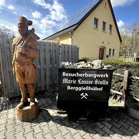 Hotel Saechsisches Haus - Hotel & Restaurant Berggiesshubel