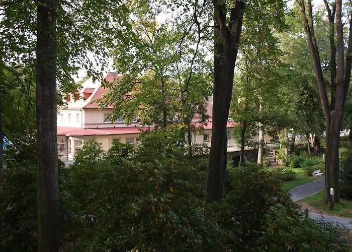Hotel Saechsisches Haus - Hotel & Restaurant Berggiesshübel
