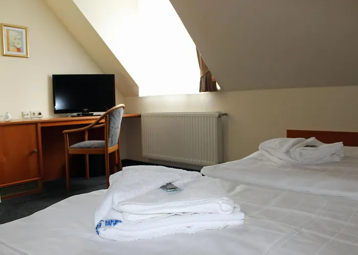 Hotel Saechsisches Haus - Hotel & Restaurant 3*