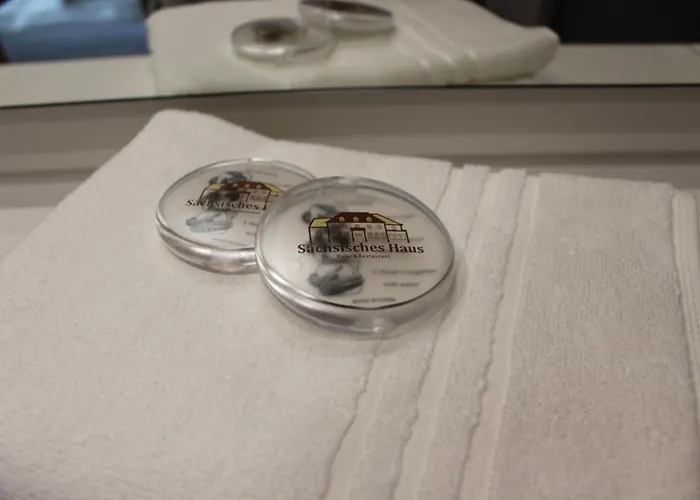 Sachsisches Haus Hotel Berggiesshubel