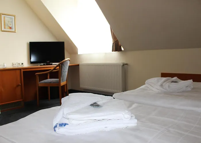 Saechsisches Haus - Hotel & Restaurant Berggiesshübel